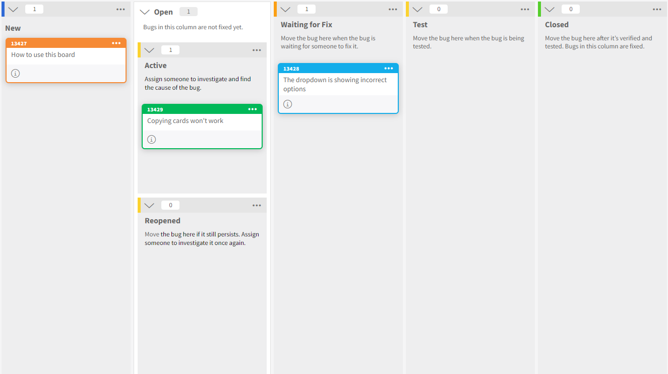 screenshot of the bug tracking template