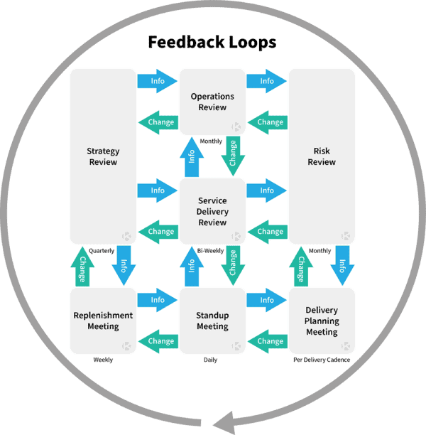 Feedback Loops
