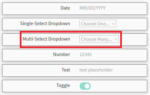 multi-select new custom field type
