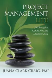 project management books - Project Management Lite Just Enough To Get The Job Done... Nothing More